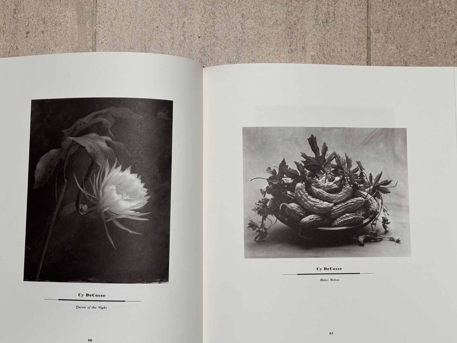 BRAND NEW Journal of Contemporary Photography VOLUME TWO #258/2000 1ST EDITION**