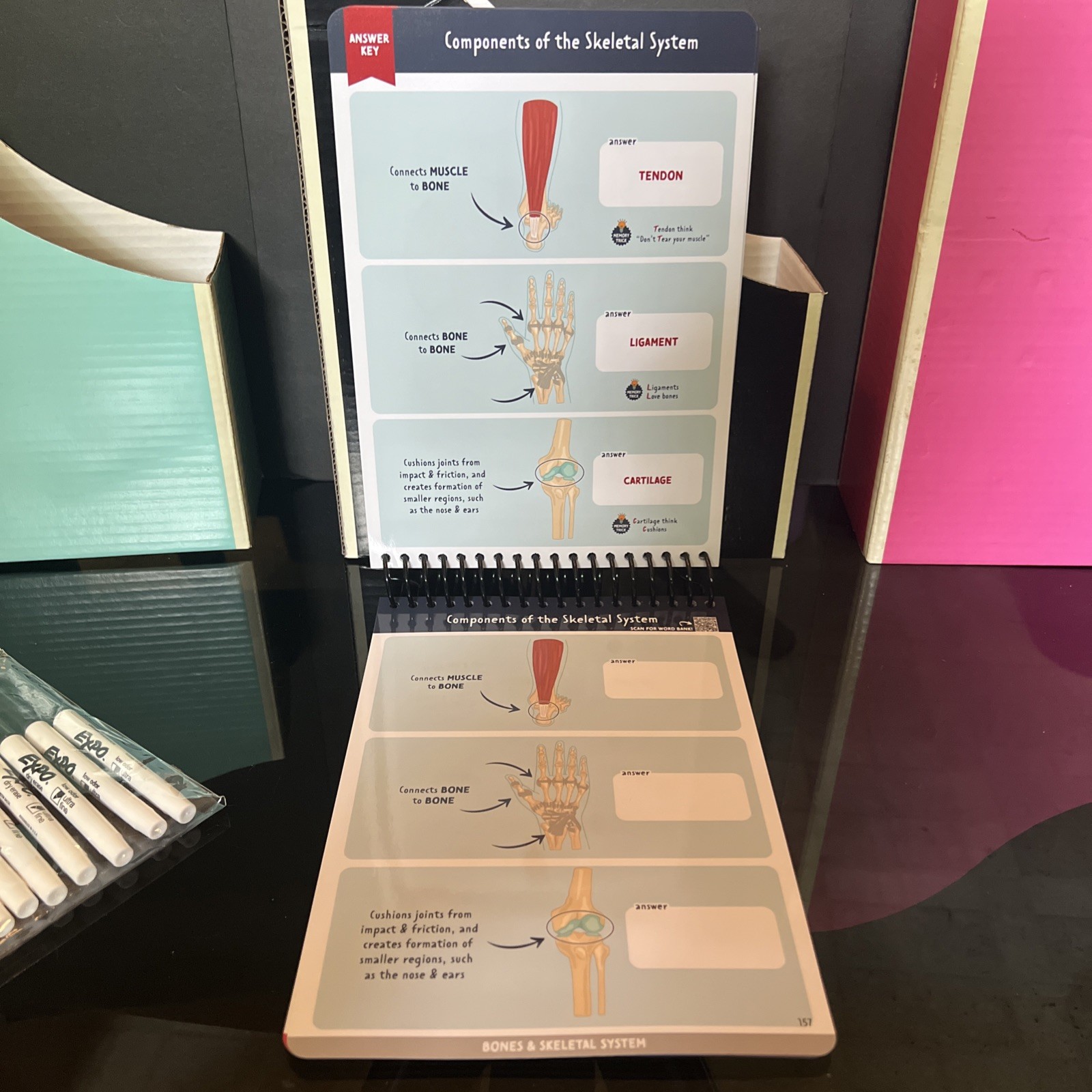 Nurse In The Making Anatomy Label Lab Workbook Laminated Spiral Bound