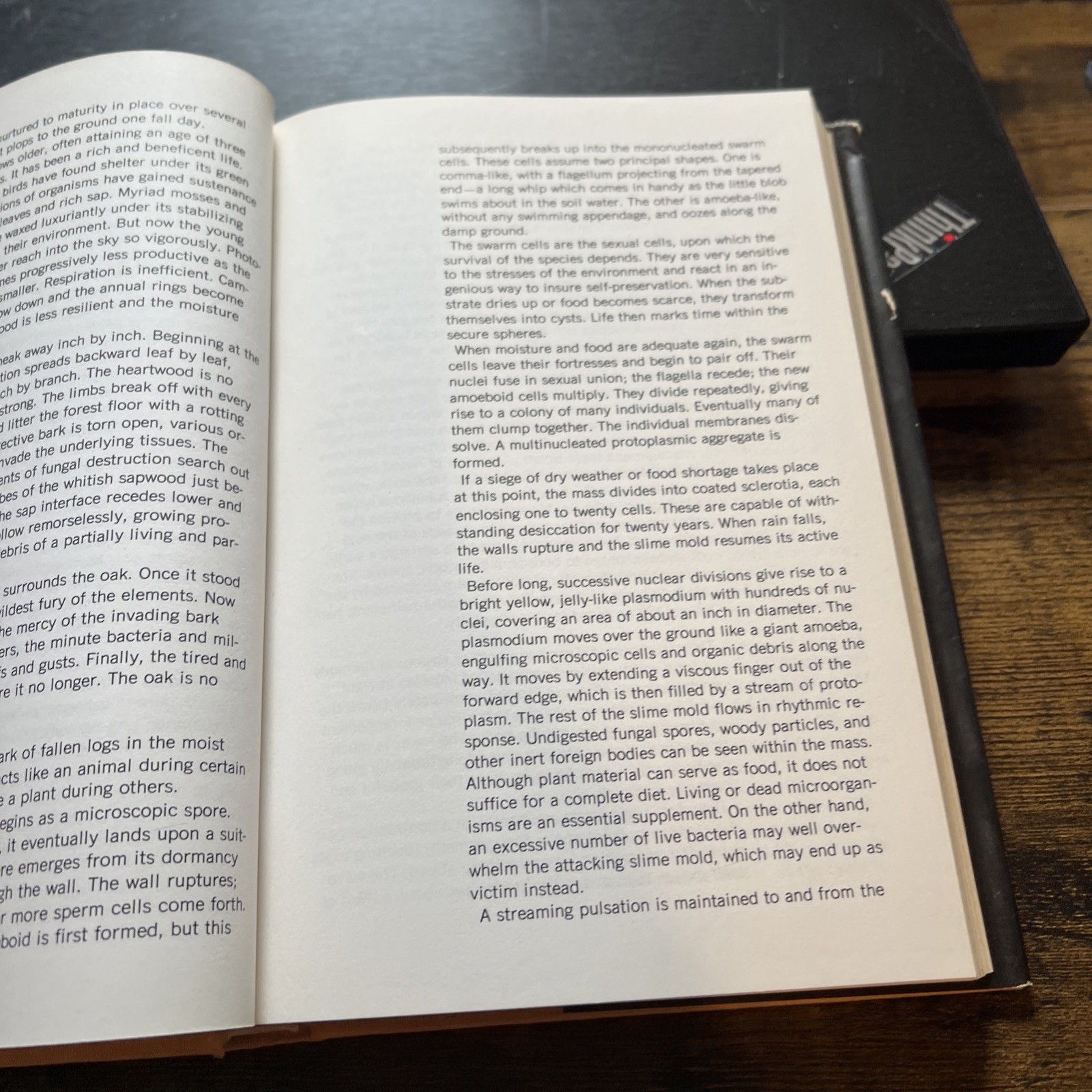 Ch’i : A Neo-Taoist Approach to Life by R. G. H. Siu (1974, HC/DJ) MIT Press VTG