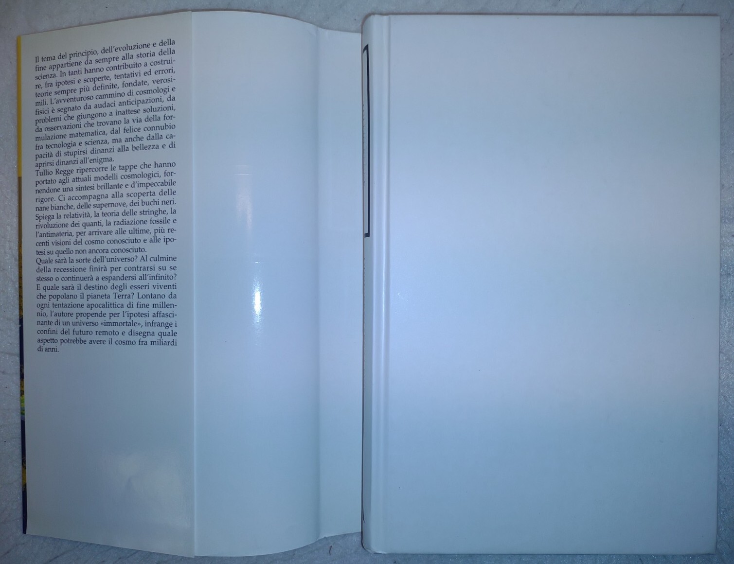 L’UNIVERSO SENZA FINE by Tullio Regge ~ Italian Edition (1999, 1st Ed HC/DJ)