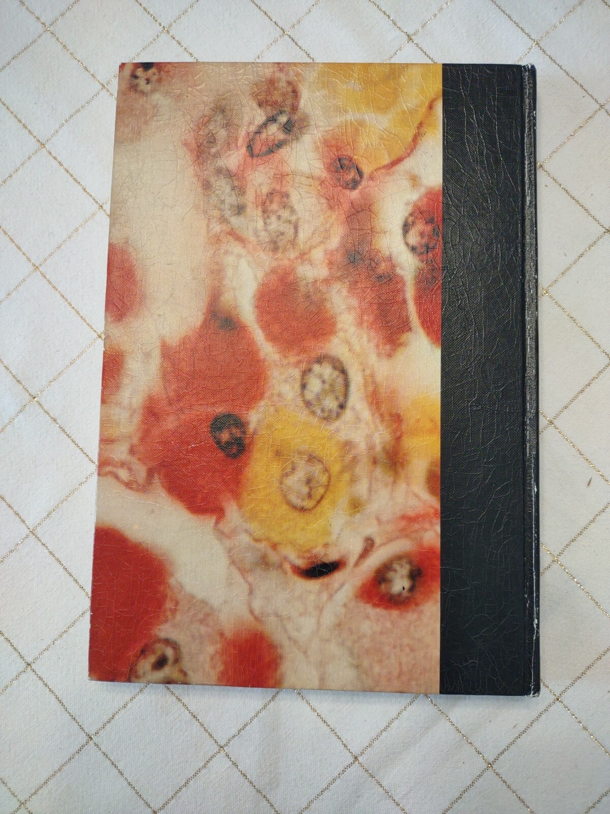 Theory and Practice of Histotechnology by Sheehan & Hrapchak 1973 Illust. 1st Ed