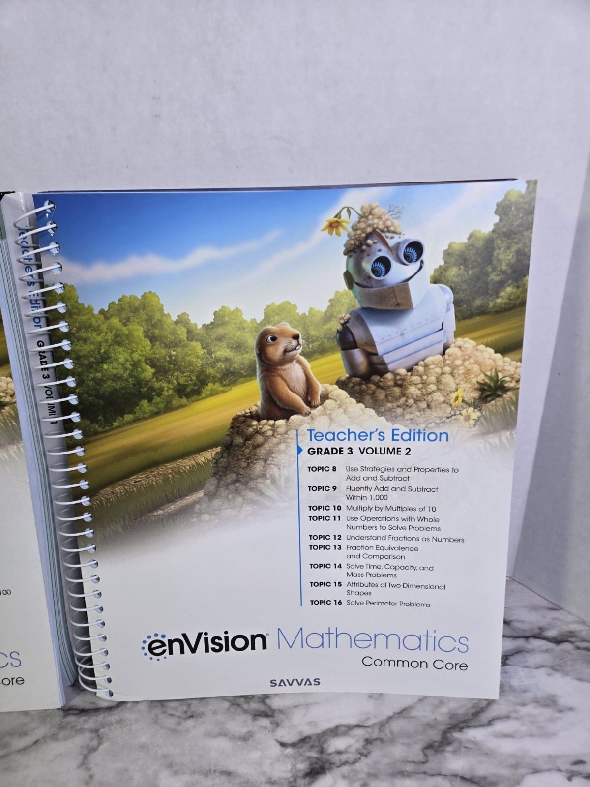 enVision Mathematics Common Core Teachers Edition Grade 3 Vol. 1 & 2 Savvas 2020