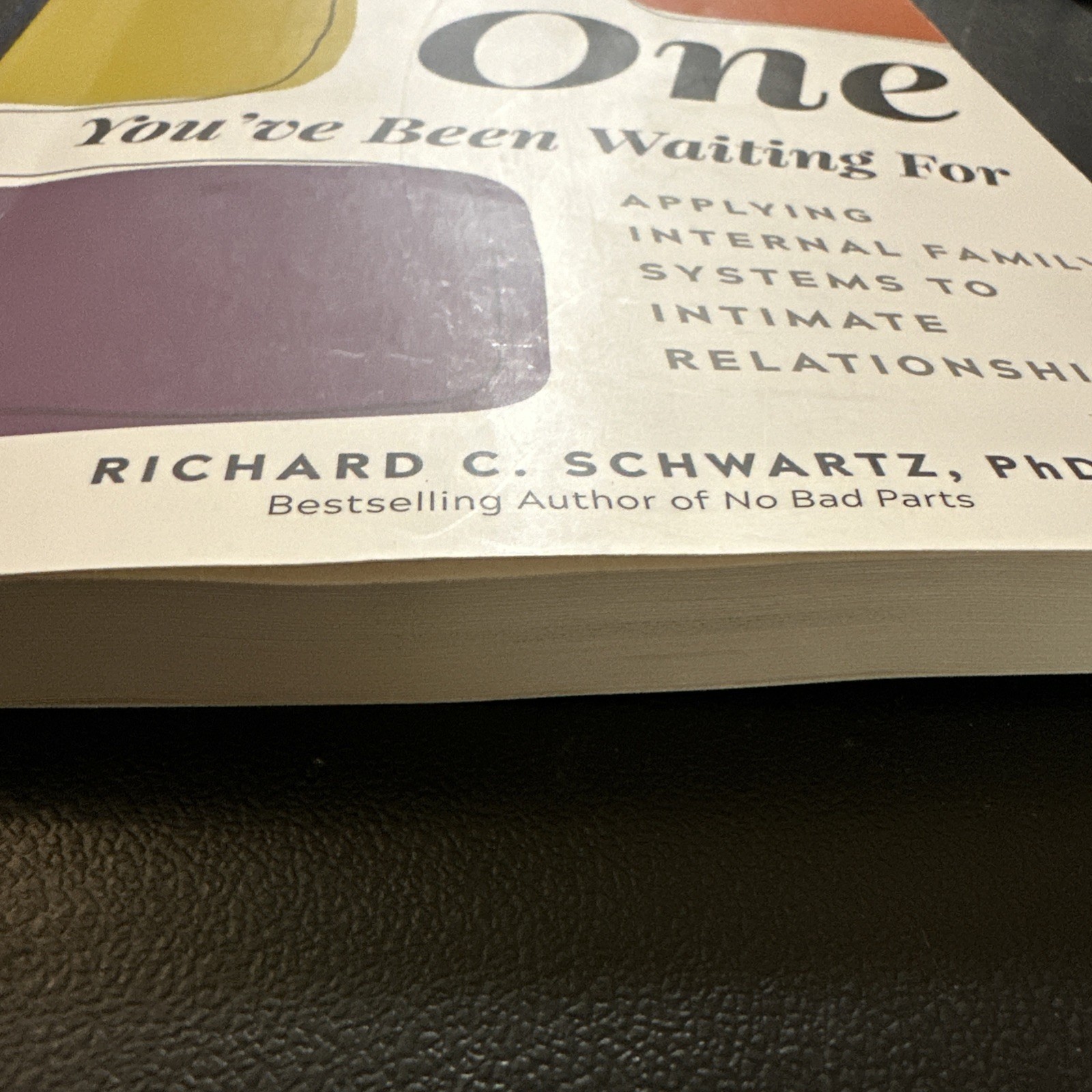 Relationships : You Are the One You’ve Been Waiting for Applying Internal Family