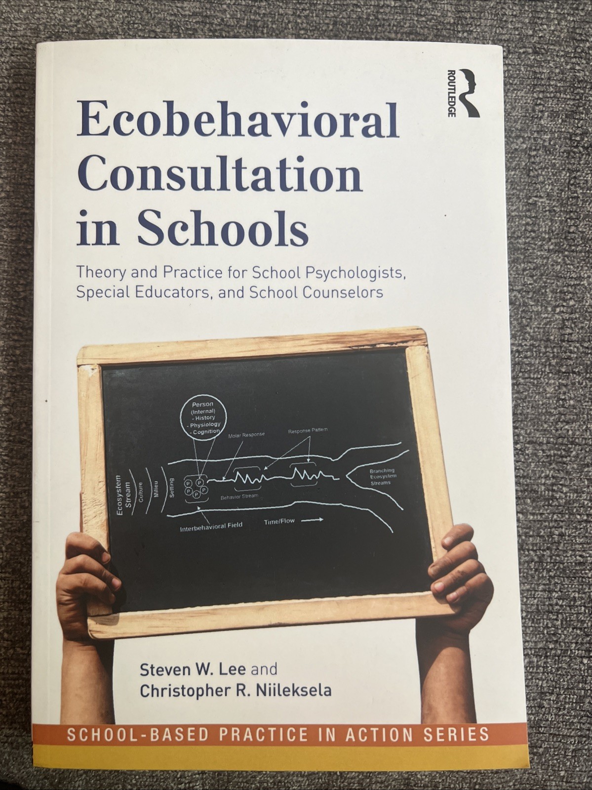 Ecobehavioral Consultation in Schools