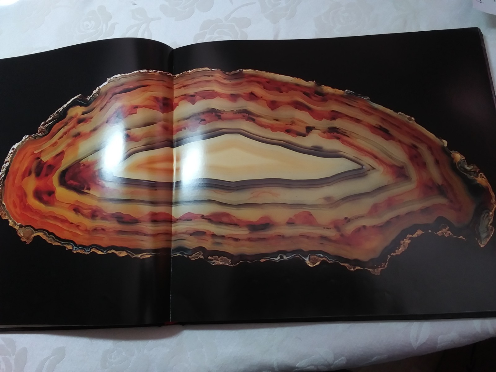 Rock identification book The Magic of Minerals 110 photos color large 196 pgs hb