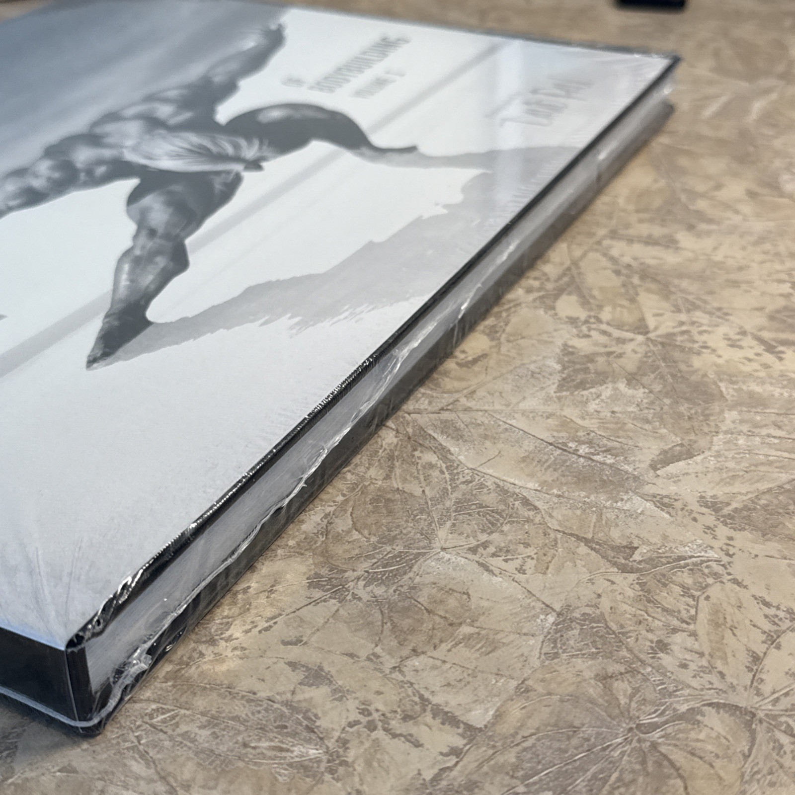 The Art of Bodybuilding Vol 1 David Paul Book New Sealed Rare Barbarian Brothers