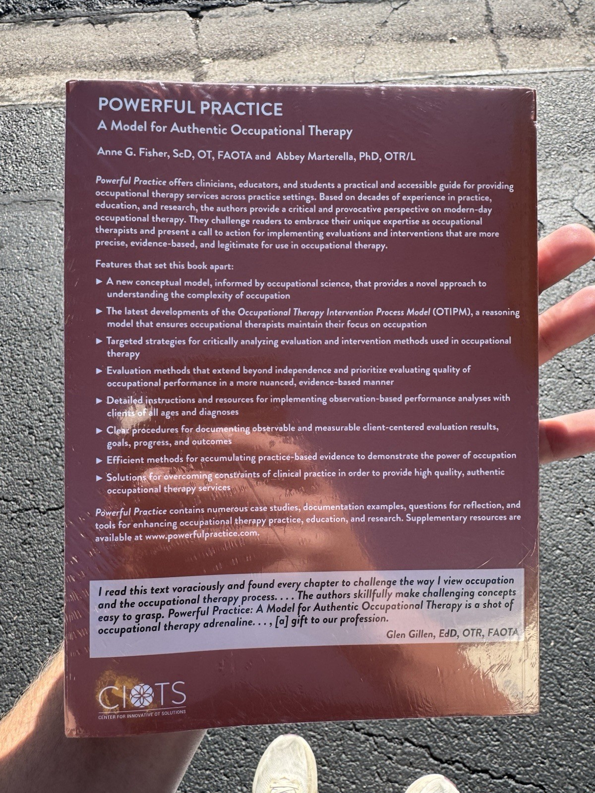 Powerful Practice A Model For Authentic Occupational Therapy