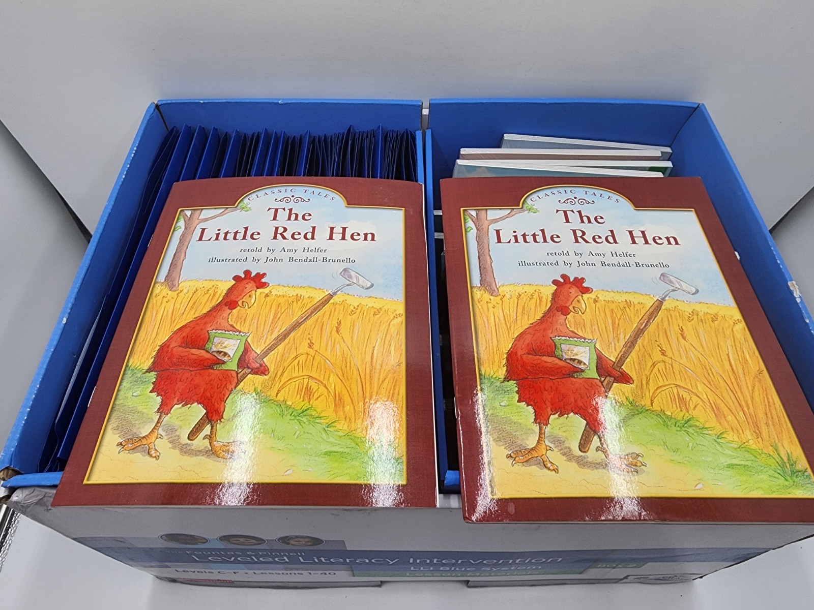Fountas & Pinnell LLI Blue System Box 2 – Lessons 1-40 Levels C-F – Like New