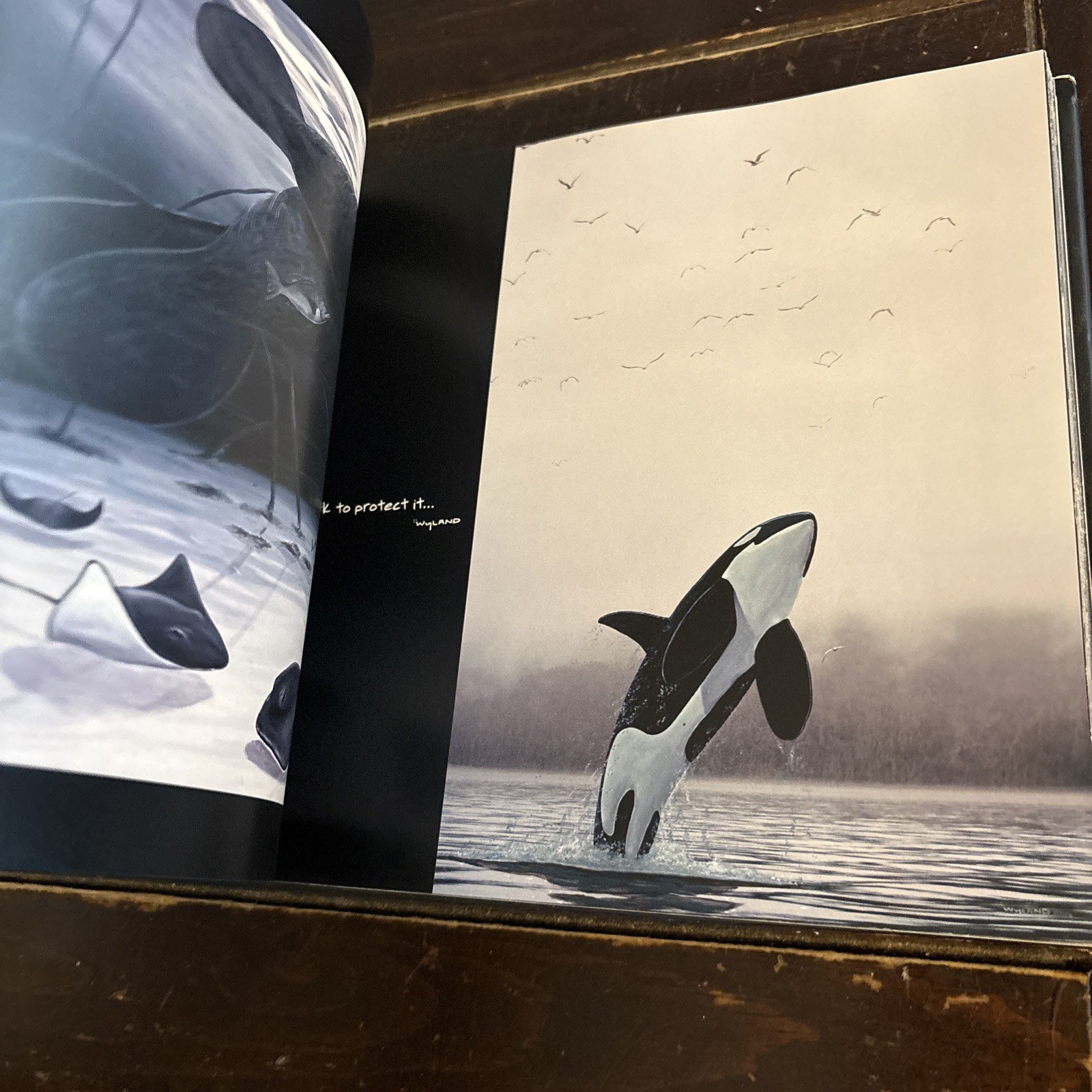 100 Wyland Whaling Walls by Not Available (2008, Hardcover)
