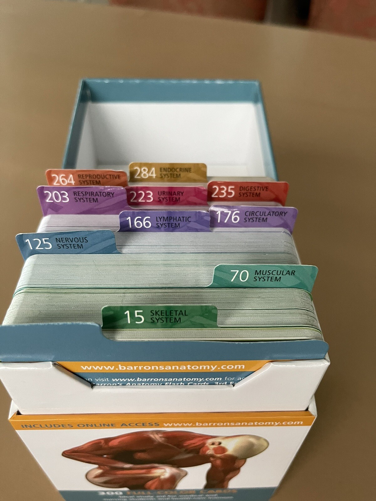 Barron’s Test Prep Ser.: Anatomy Flash Cards by Ken Ashwell (2016,…