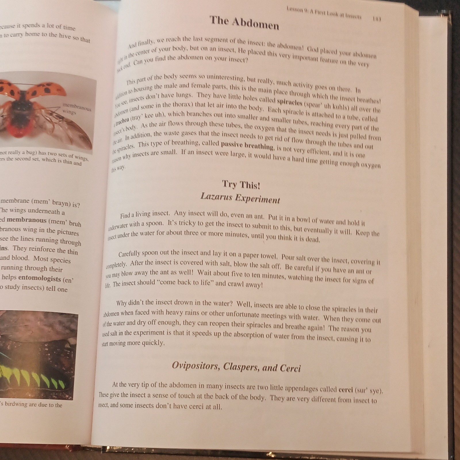 Young Explorer Exploring Creation with Zoology 1 HC Jeannie K. Fulbright