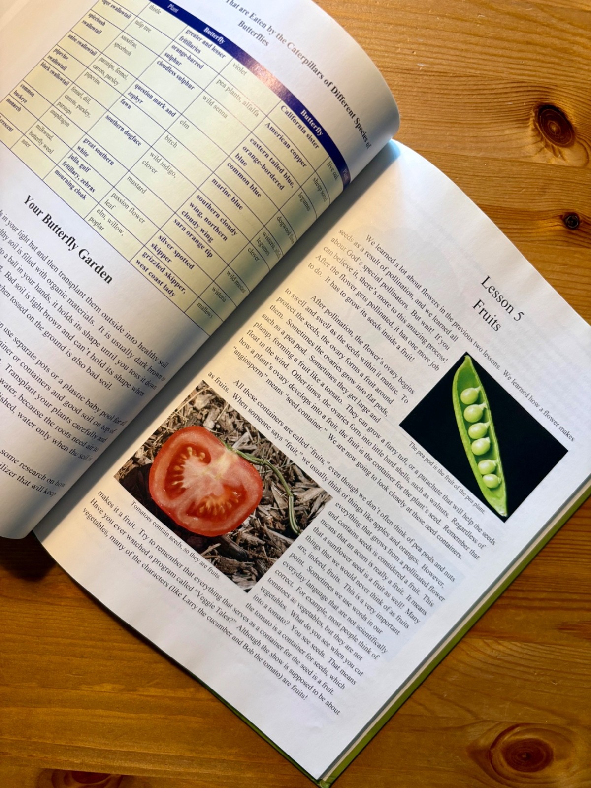 Young Explorer Series: Exploring Creation with Botany Textbook-Jeannie Fulbright