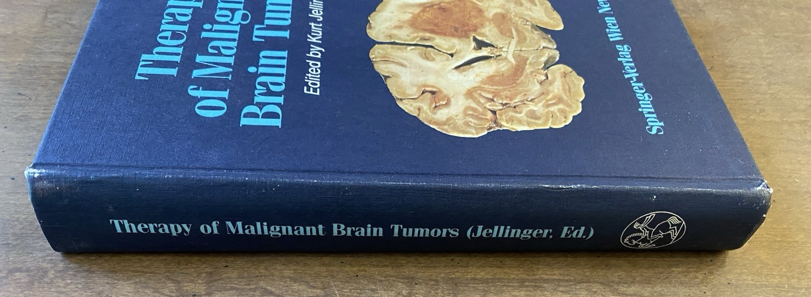 “Therapy of Malignant Brain Tumors” Medical HC 1987 Kurt Jellinger Springer