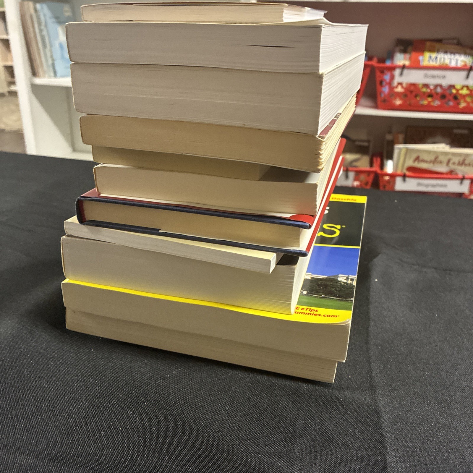 Sonlight Level 400 American Government and Civics Set of 11 Books – US Politics