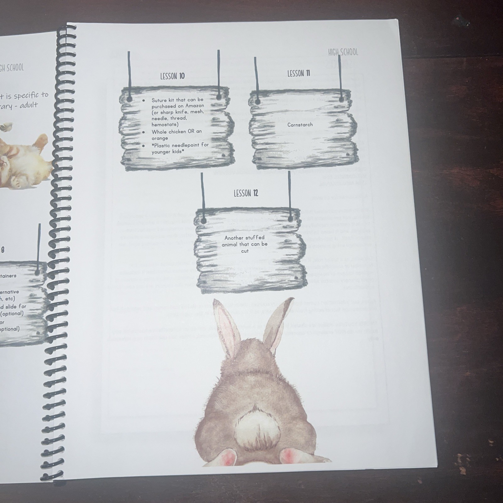 Campfire Curriculums ‘Through the Eyes of a Veterinarian’-High School