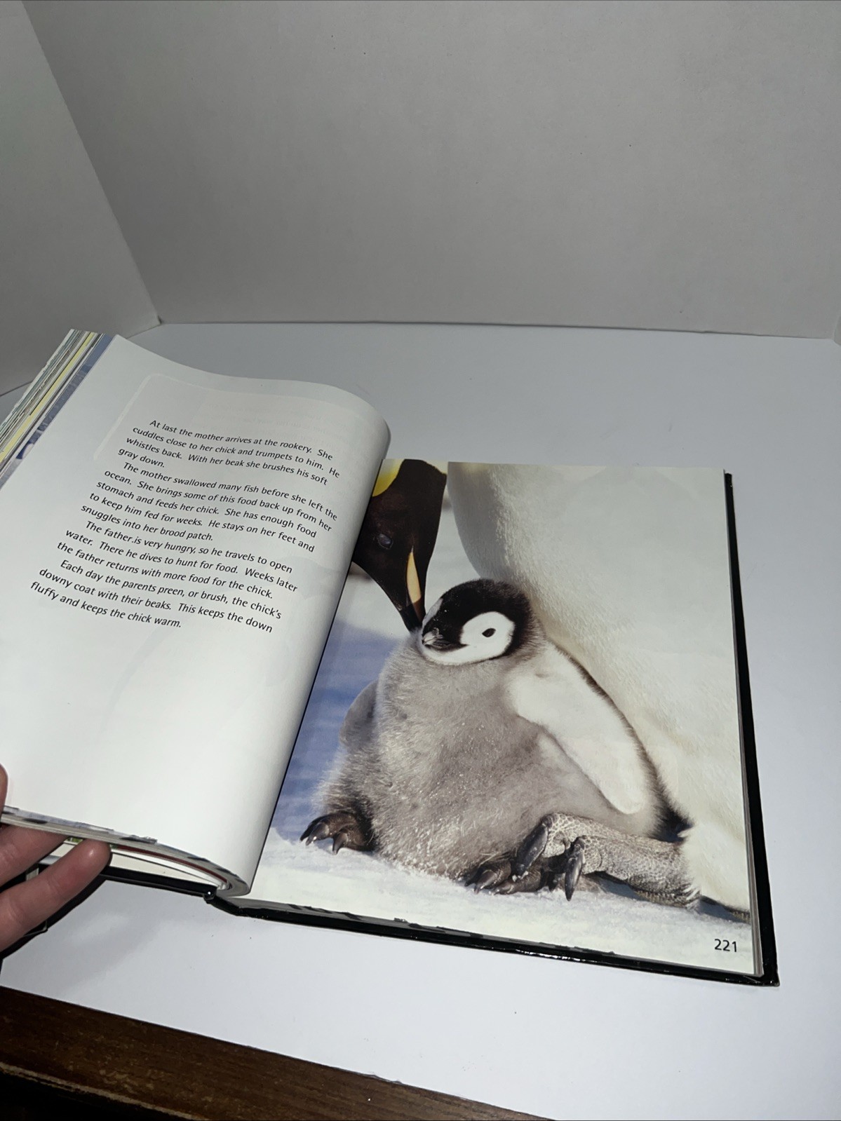 Houghton Mifflin Harcourt Journeys 1.5, 2.1, 2.2 – 2nd grade Reading Textbooks