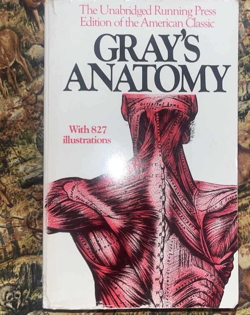 Gray’s Anatomy Paperback Running Press Henry Gray 1901 Illustrated Textbook