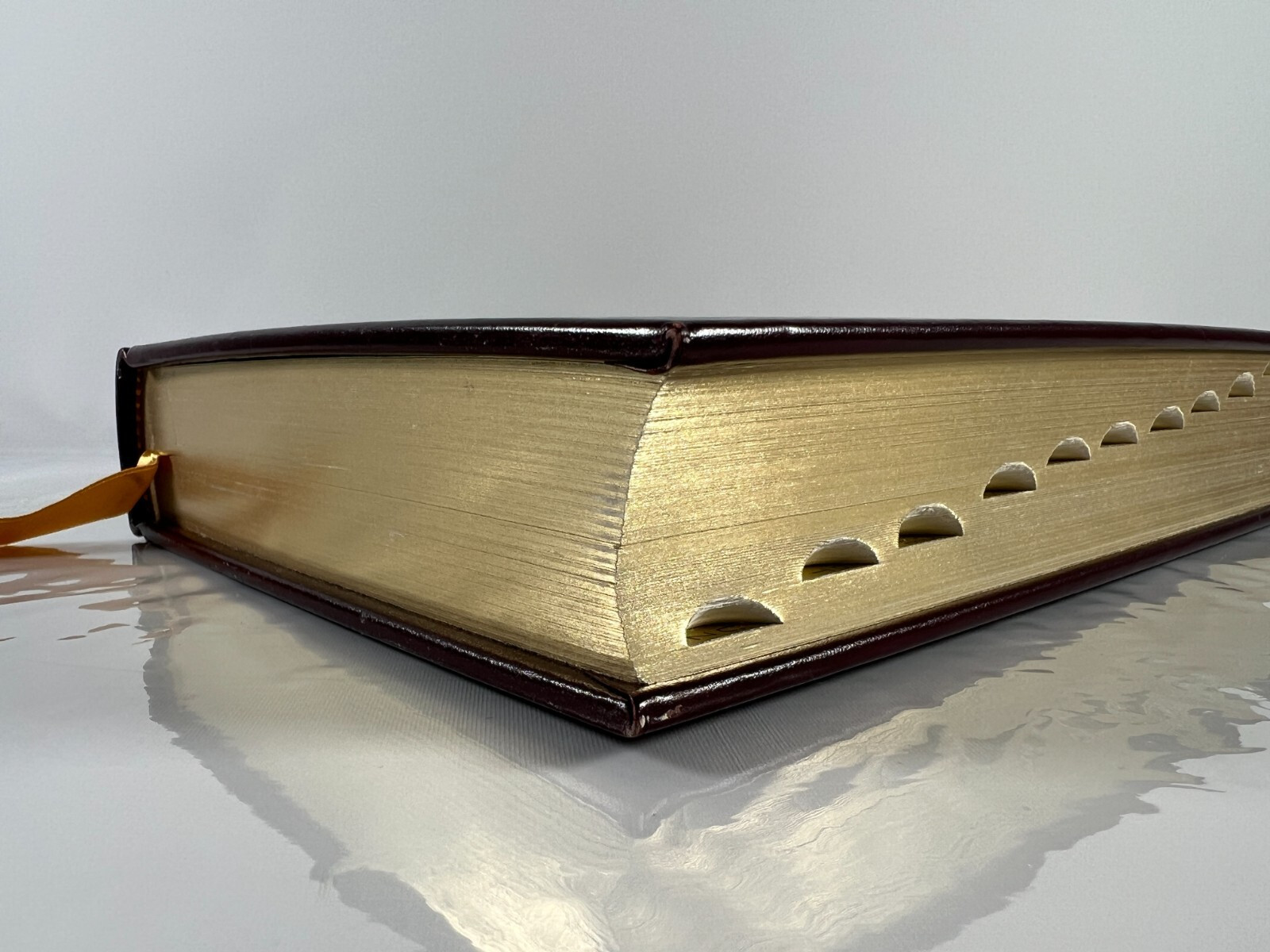 Webster’s Medical Desk Dictionary 1986 Decorative Leatherbound Merriam Webster