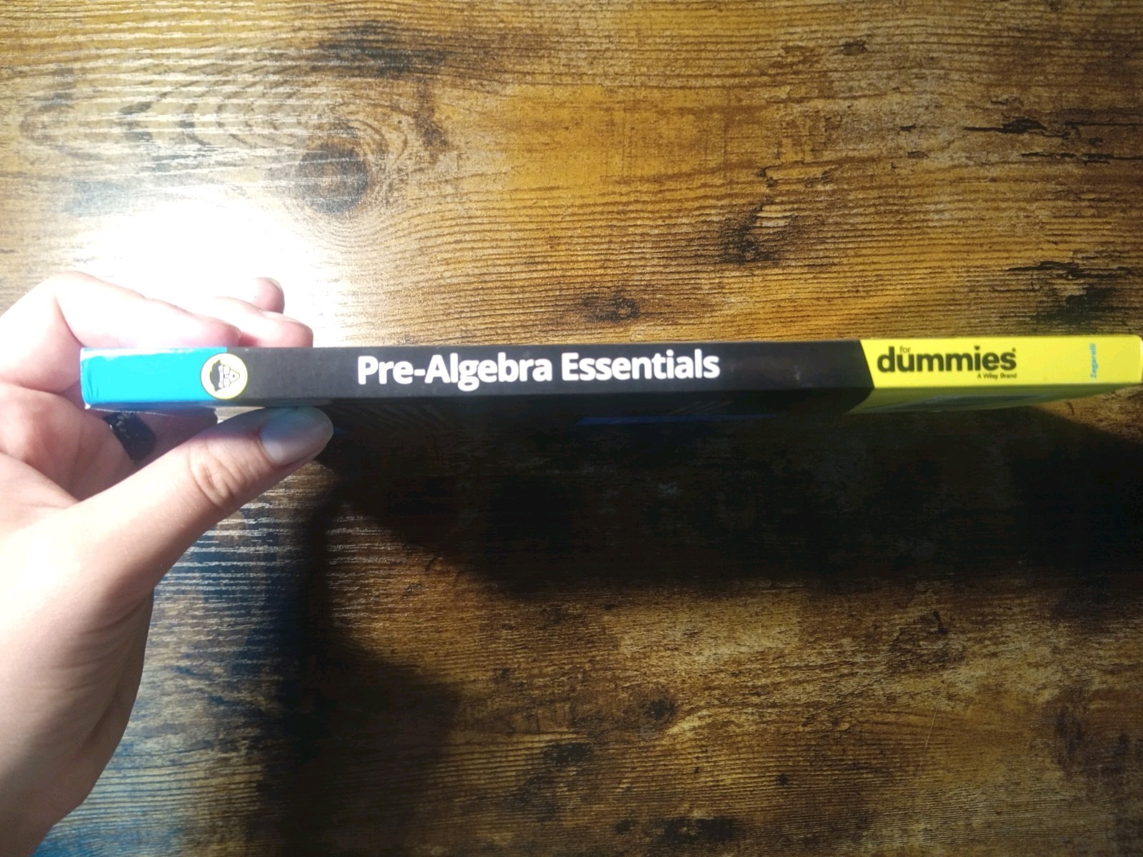 Basic Math & Pre Algebra for Dummies books & workbook lot of 3 paperback