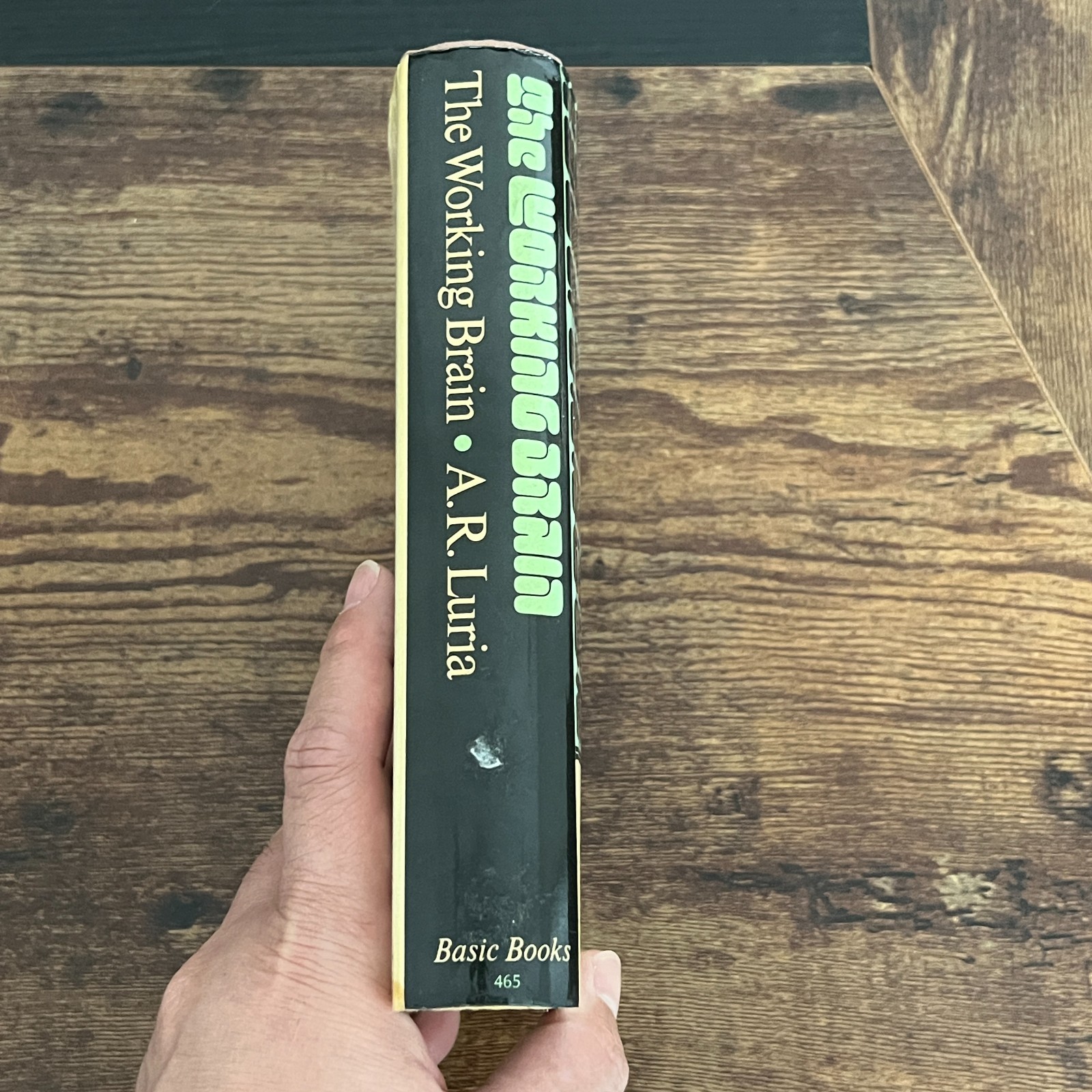 The Working Brain Aleksandr R. Luria 1973 Hardcover HCDJ Neuroscience Psychology