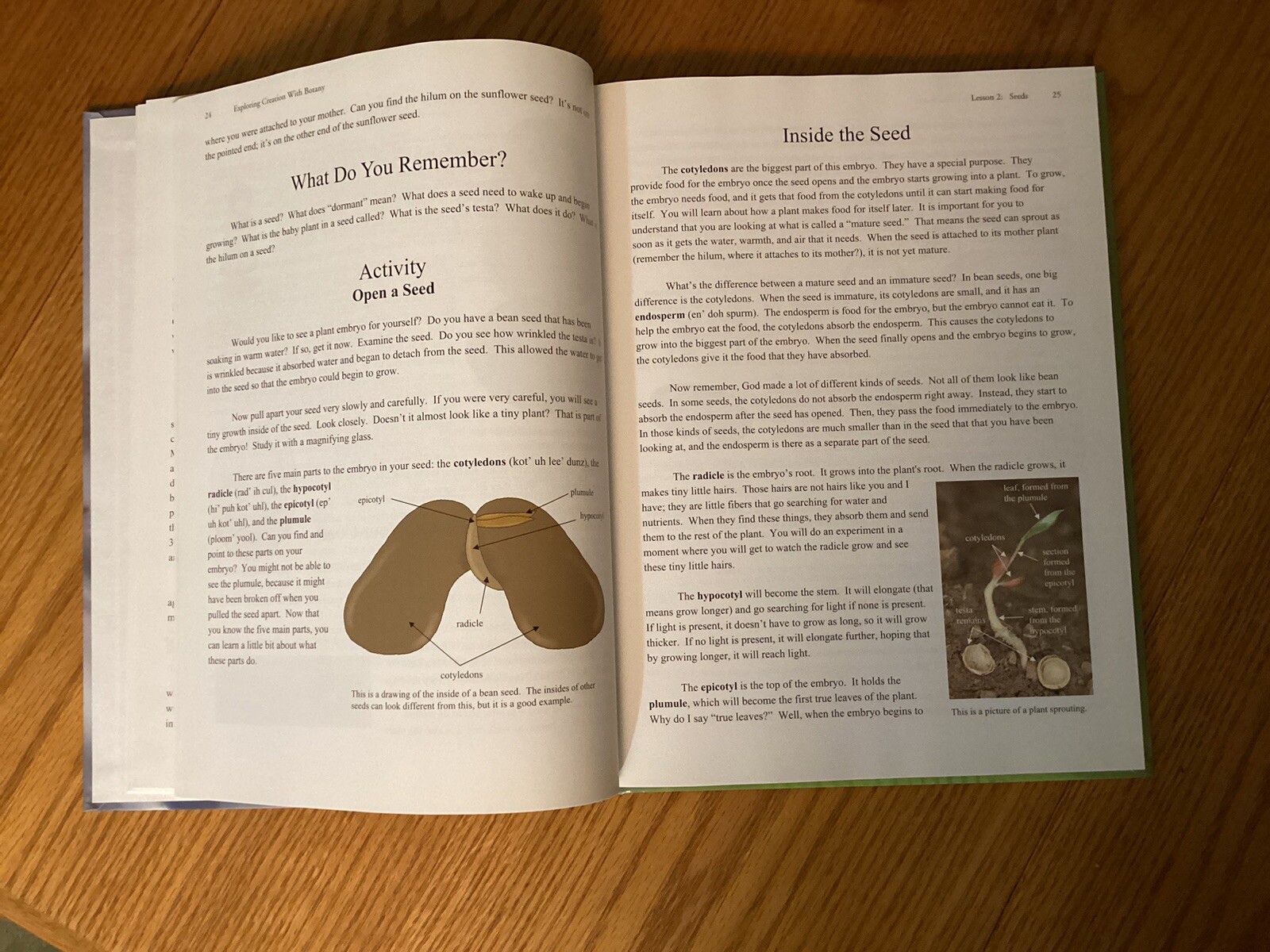 Apologia Exploring Creation With Botany – Young Explorer Series, Homeschooling