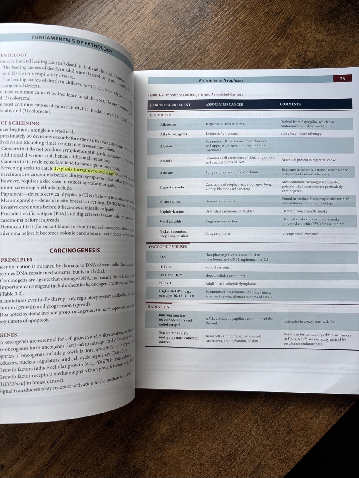 Fundamentals of Pathology 2022 by Hussain A. Sattar Illustrated Medical Textbook