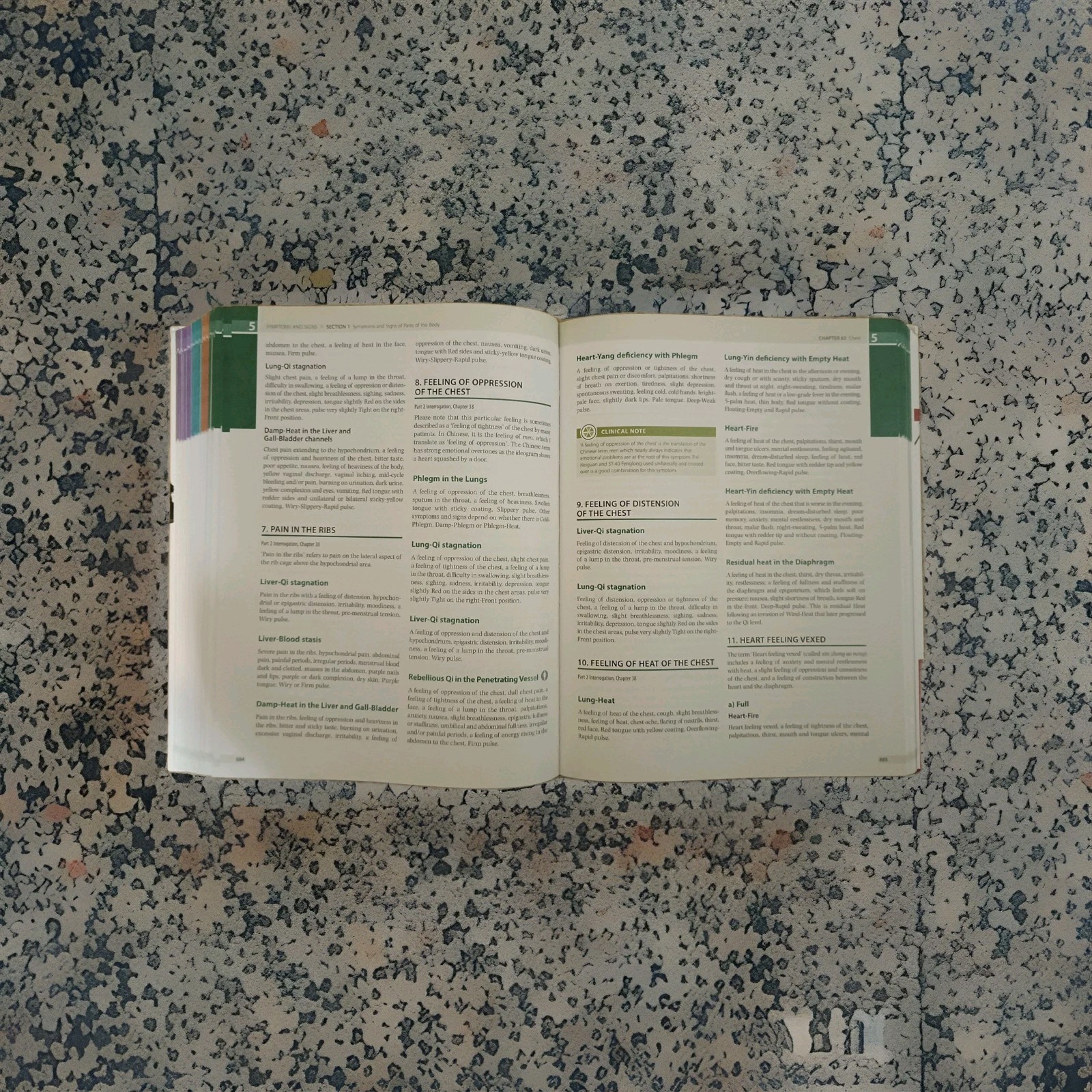 Diagnosis in Chinese Medicine: A Comprehensive Guide by Giovanni Maciocia 2 Ed