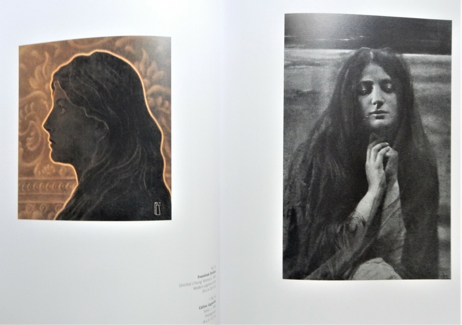 IMPRESSIONIST CAMERA: PICTORIAL PHOTOGRAPHY IN EUROPE 1888 -1918 Art Catalog