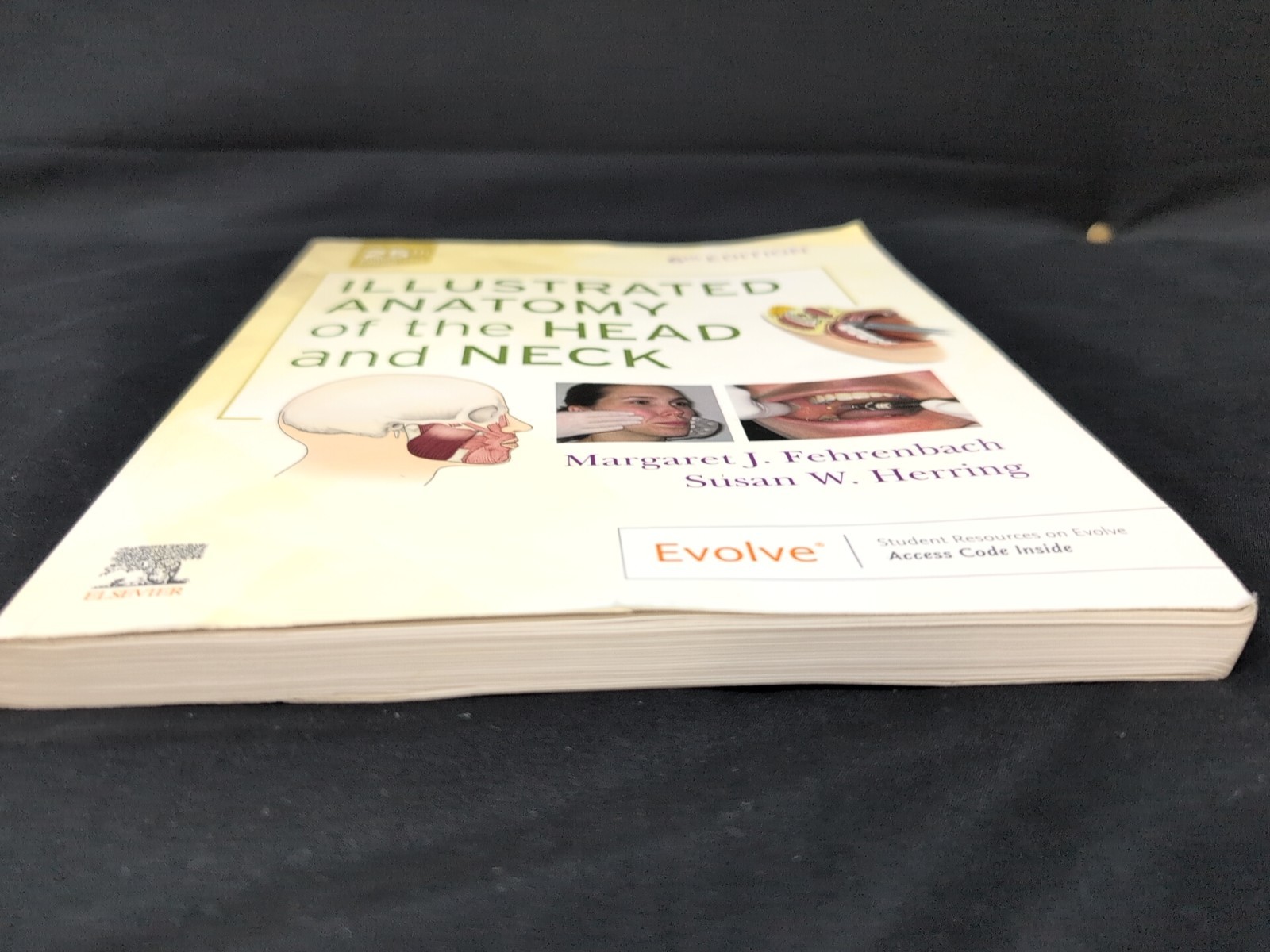 Illustrated Anatomy of the Head and Neck By Margaret J. Fehrenbach Paperback