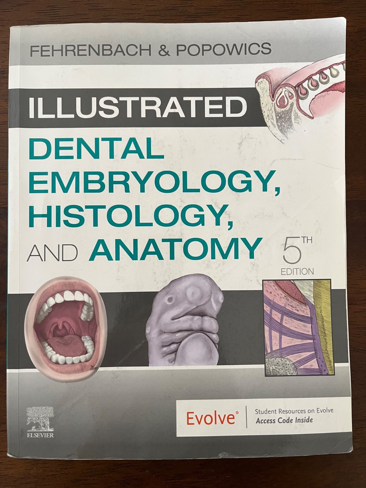 Illustrated Dental Embryology, Histology, and Anatomy by Margaret J. Fehrenbach