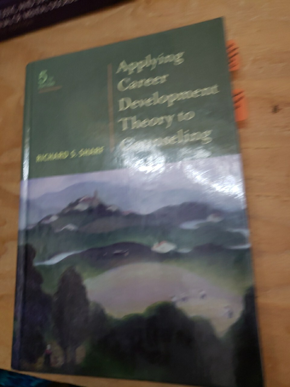 Graduate Career Counseling Ser.: Applying Career Development Theory to…