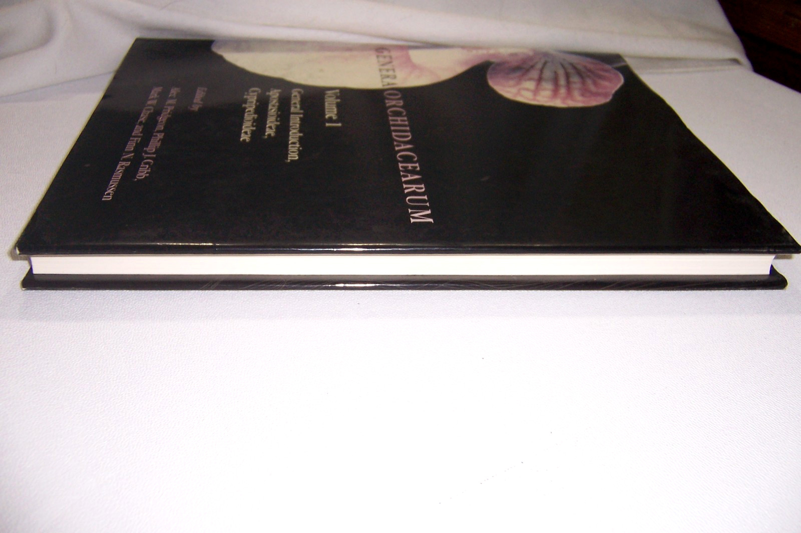 Genera Orchidacearum Ser.: Genera Orchidacearum : General Intro Vol. 1 (1999 HC)