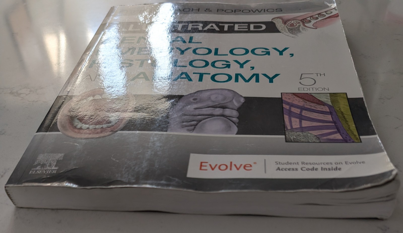 Illustrated Dental Embryology, Histology, and Anatomy by Margaret J. Fehrenbach
