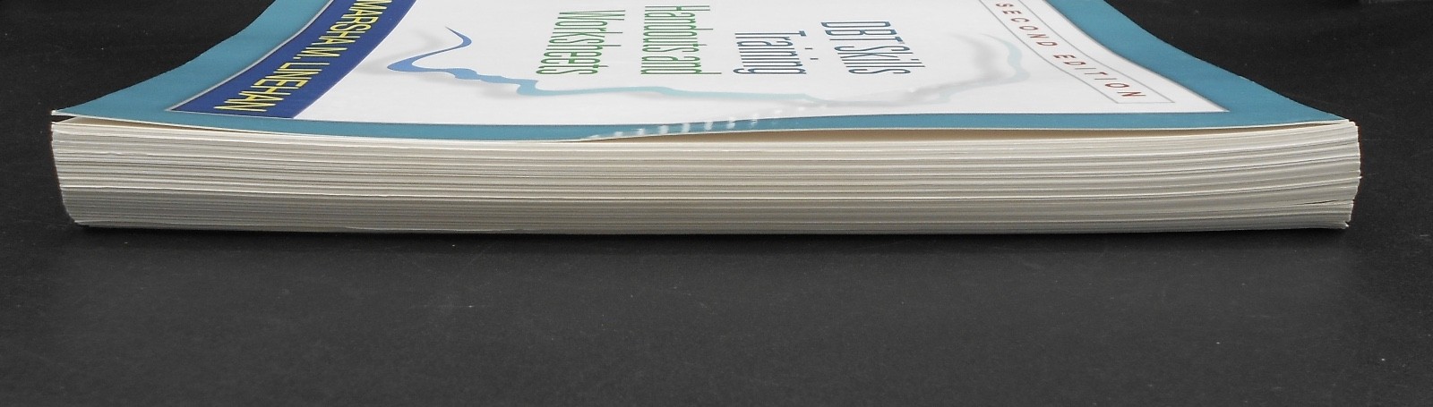 DBT SKILLS TRAINING HANDOUTS & WORKSHEETS 2nd ED by LINEHAN 2015 SPIRAL PB VG
