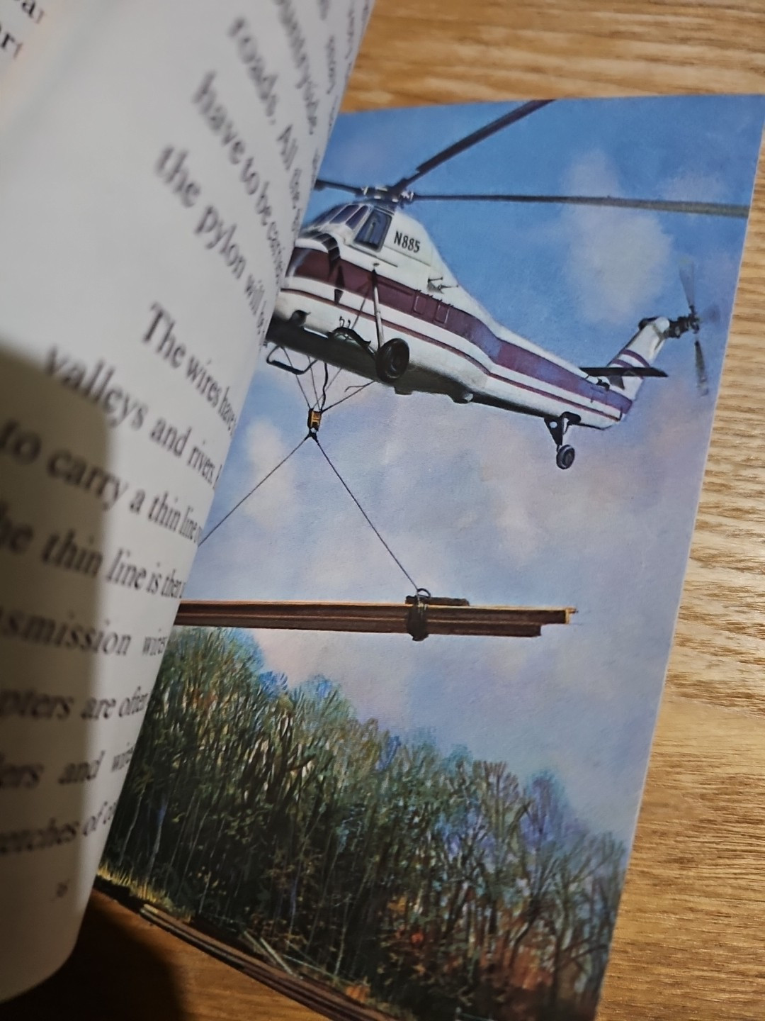 The Public Services: Electricity (Ladybird Books) : I. & J. Havenhand 15p Vgc M5