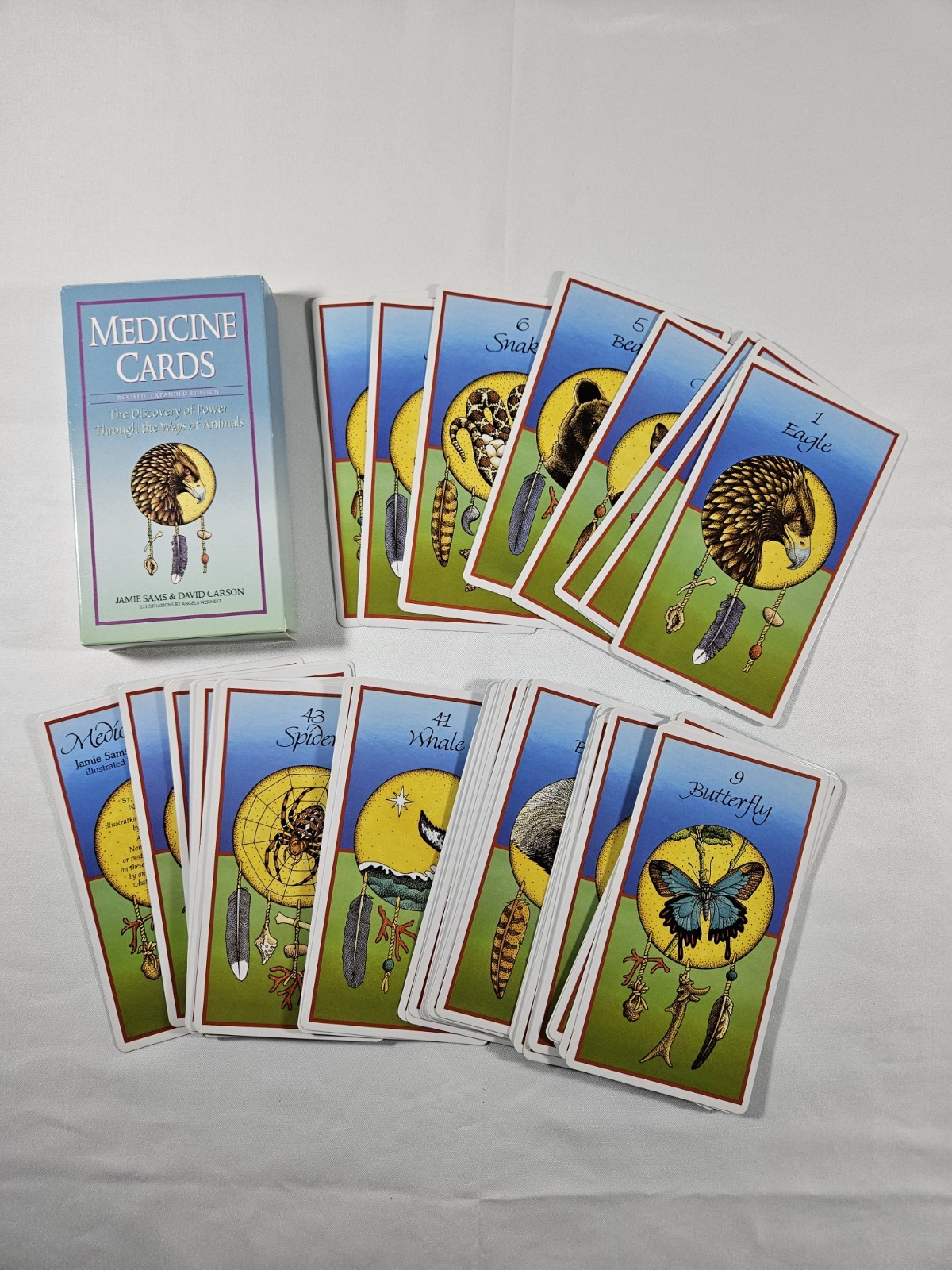 MEDICINE CARDS HC Book & 60 Card Deck by David Carson & Jamie Sams 1999