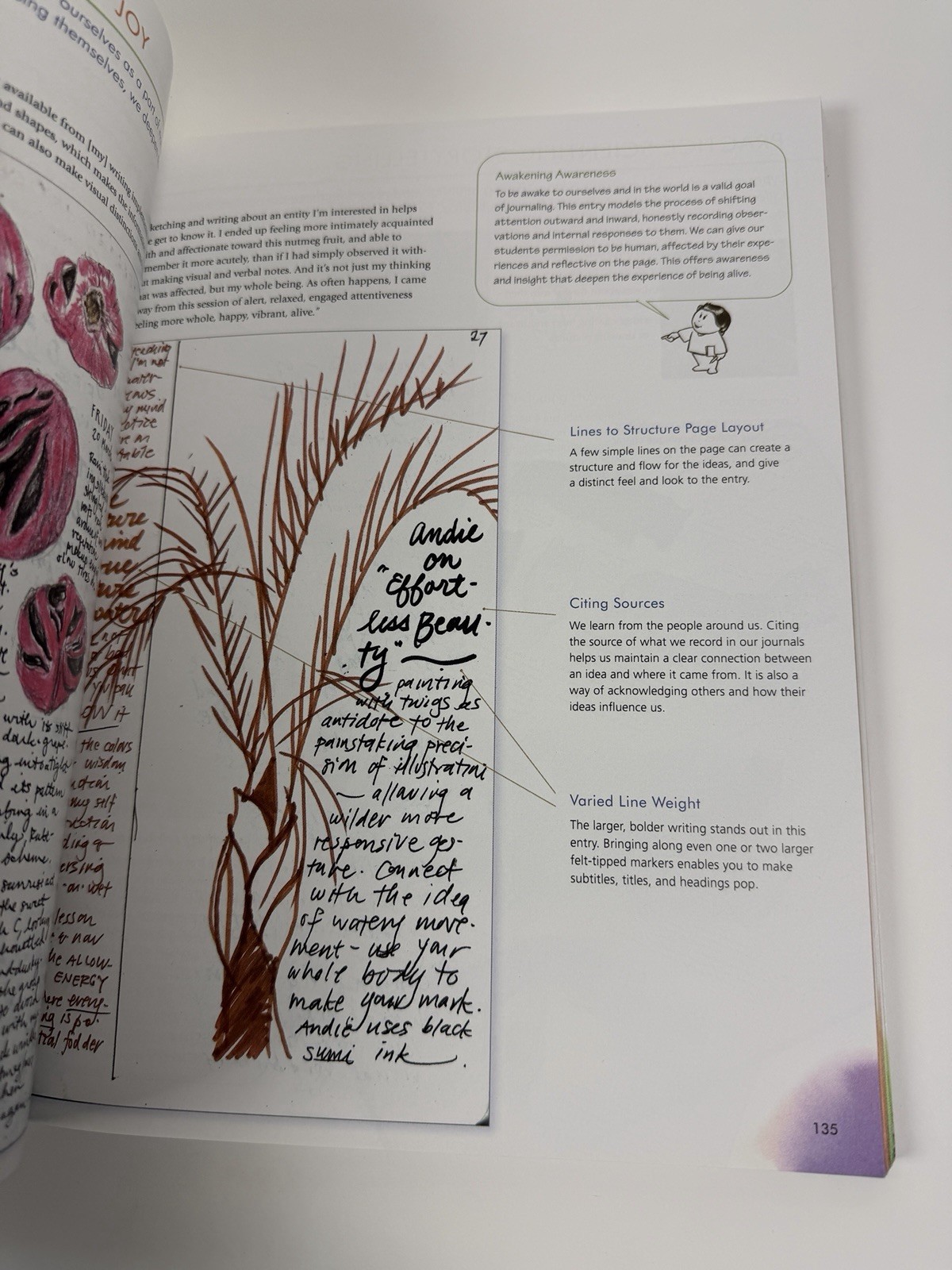 How to Teach Nature Journaling by John Muir Laws and Lygren (Paperback, 2020)