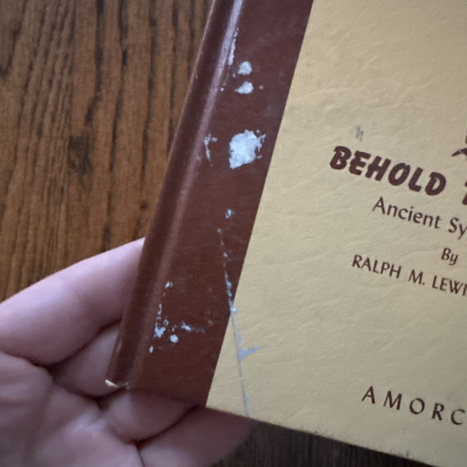 Behold the Sign: Ancient Symbolism Lewis Hardcover Symbolism 1973 Ed