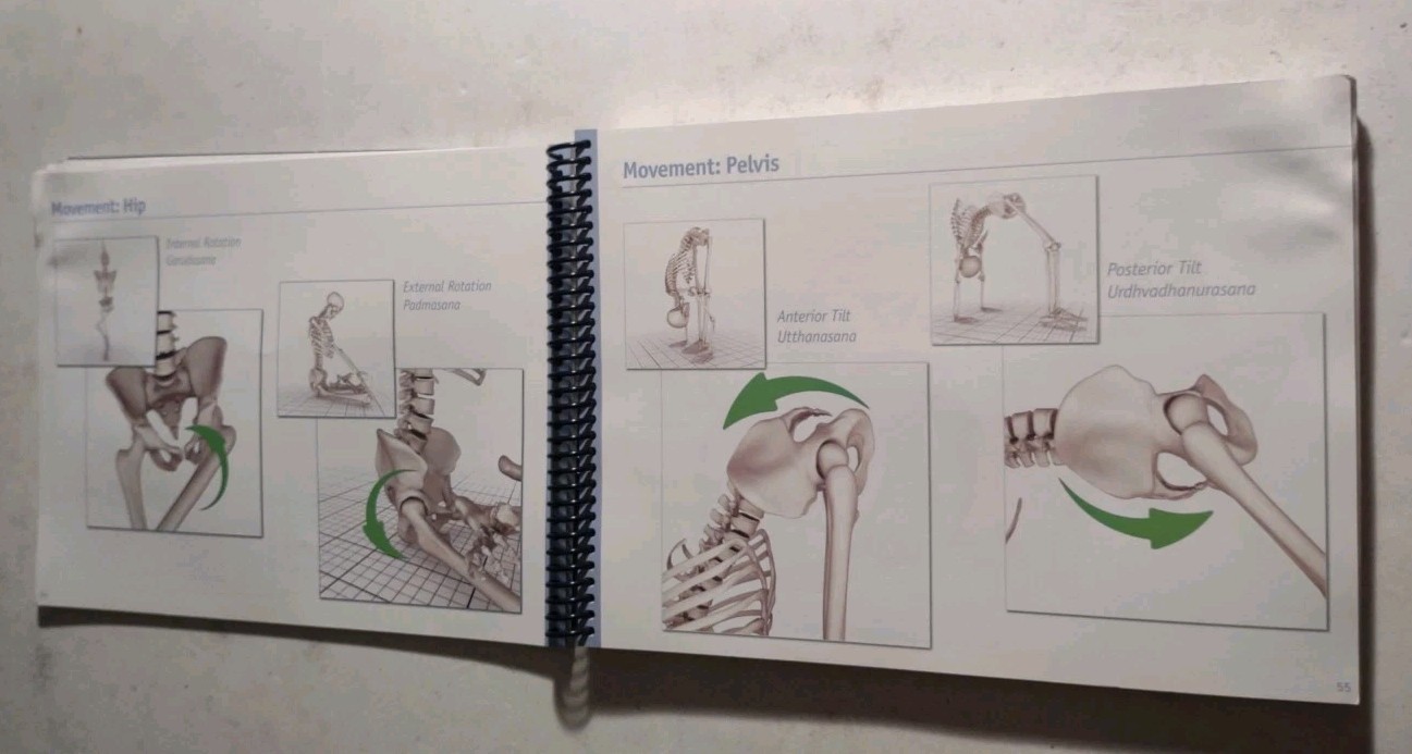 Scientific Keys Volume 1 The Key Muscles of Hatha Yoga by Raymond A. Long 2006.