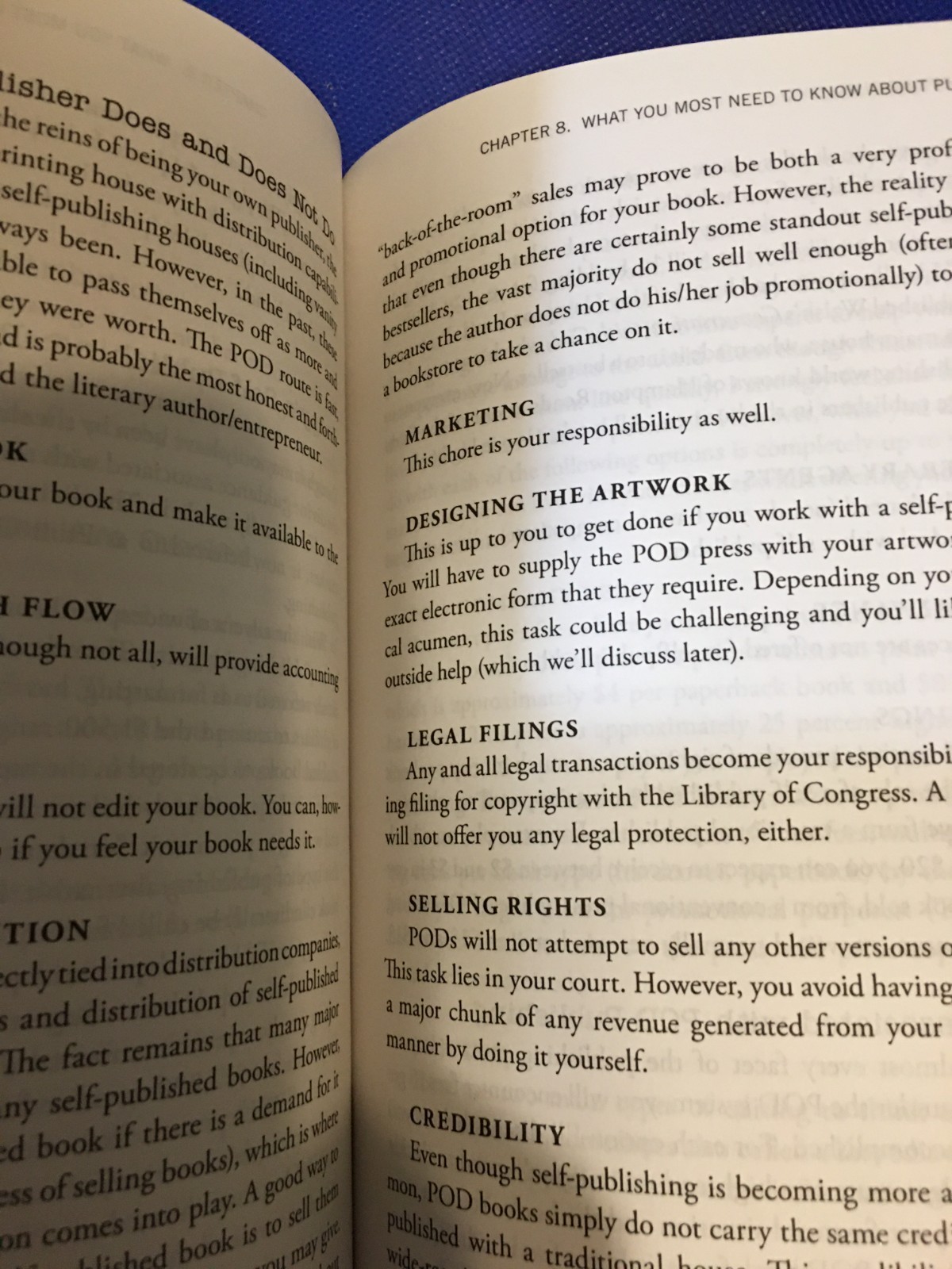 The Call of the Writer’s Craft by Tom Bird paperback