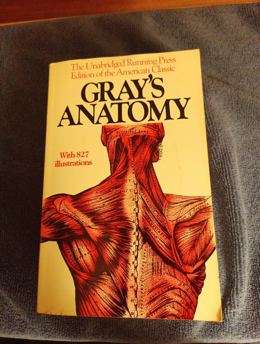 Gray’s Anatomy : The Unabridged Running Press Edition of the American Classic…