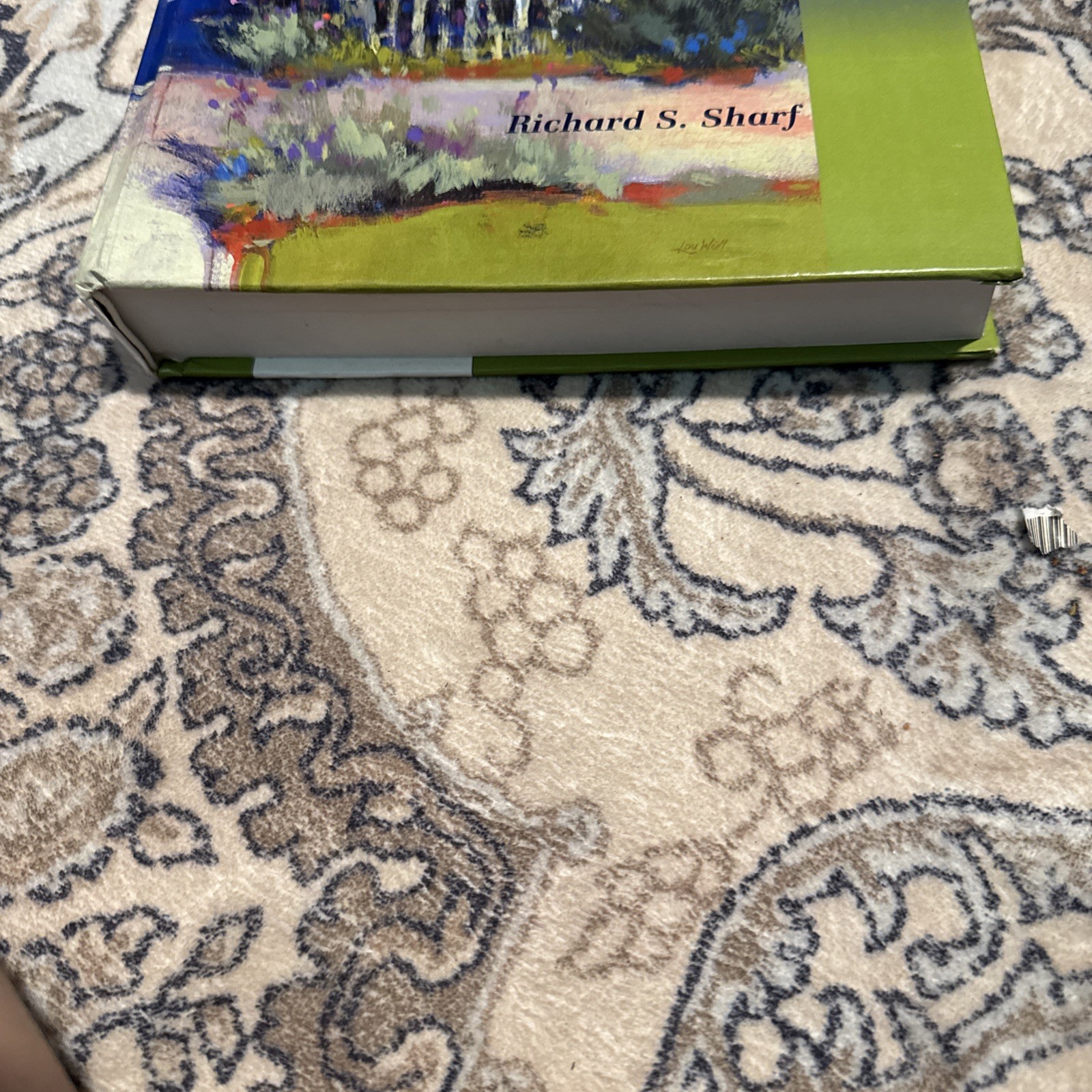 Theories of Psychotherapy & Counseling: Concepts and Cases 6th Edition *GOOD*