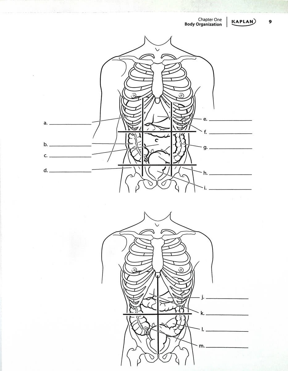 Anatomy Coloring Book – 450+ Medical Illustrations w/ Quizzes | Kaplan Test Prep