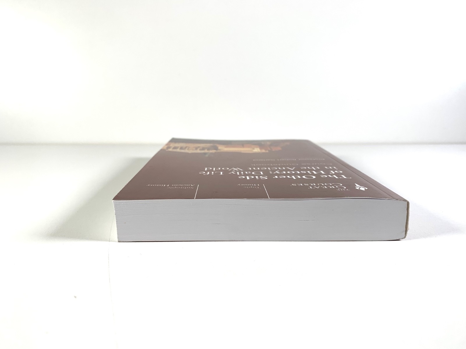 Other Side of History: Daily Life in the Ancient World Book Great Courses NO DVD