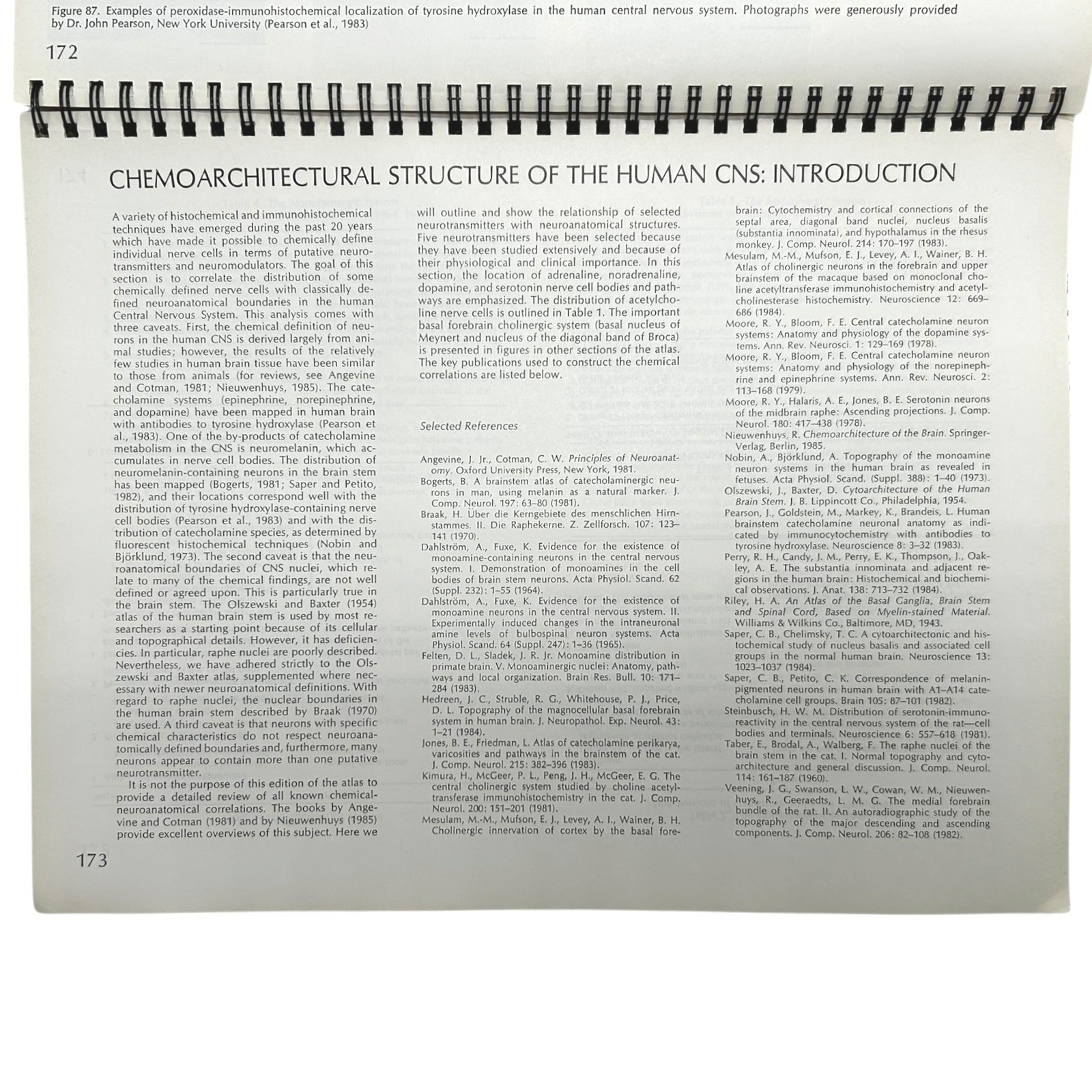Structure of the Human Brain A Photographic Atlas Third Edition Textbook