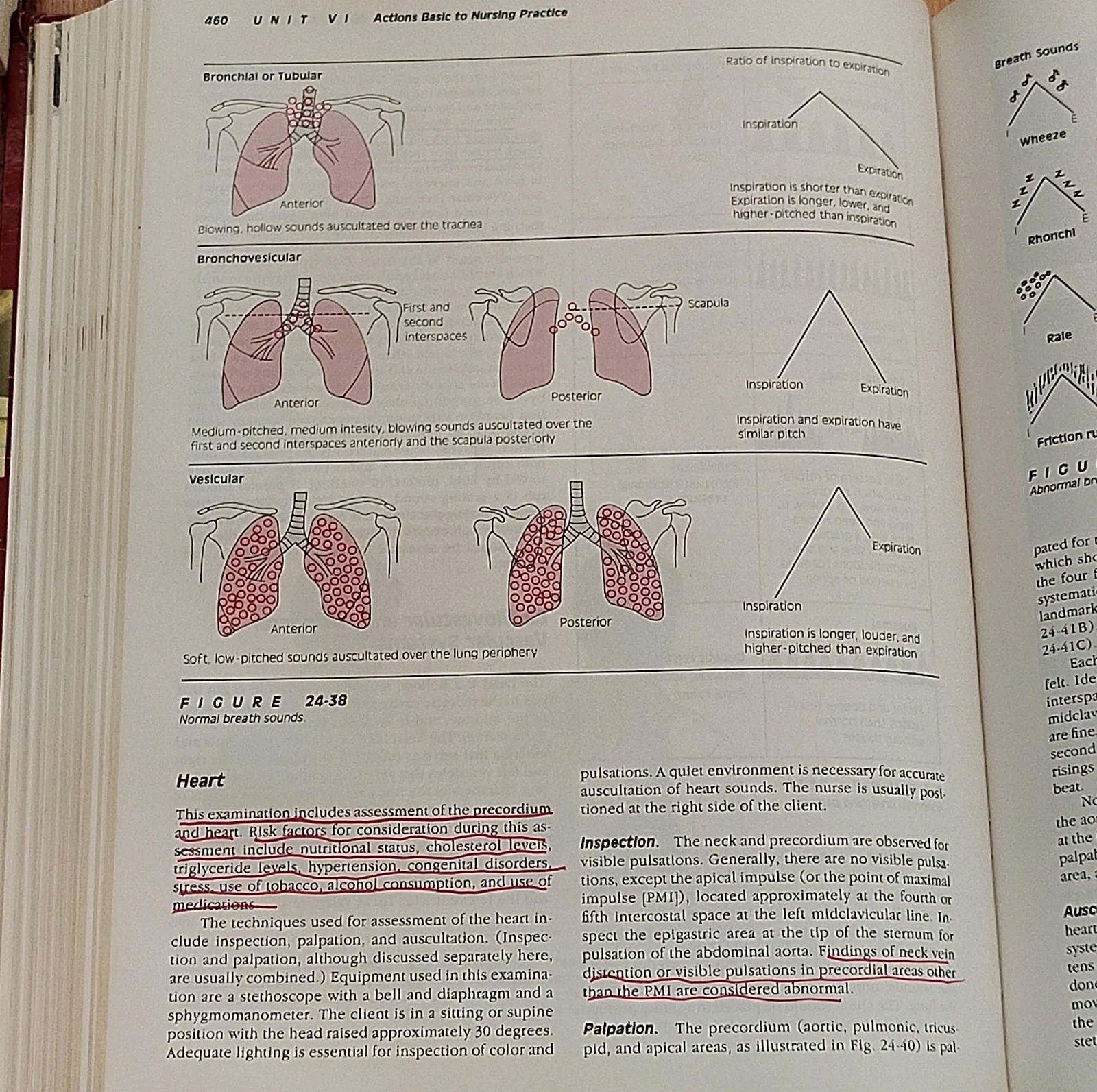 Fundamentals of Nursing: The Art and Science of Nursing Care Textbook 1989