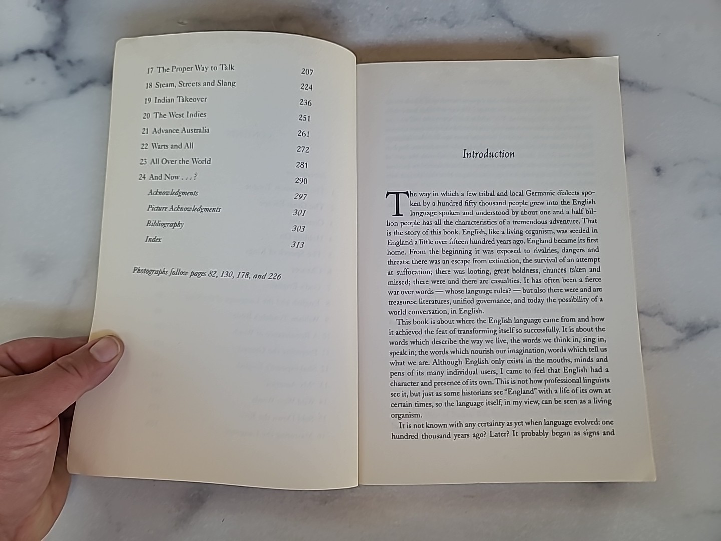The Adventures Of English The Biography Of A Language By Melvin Bragg Paperback