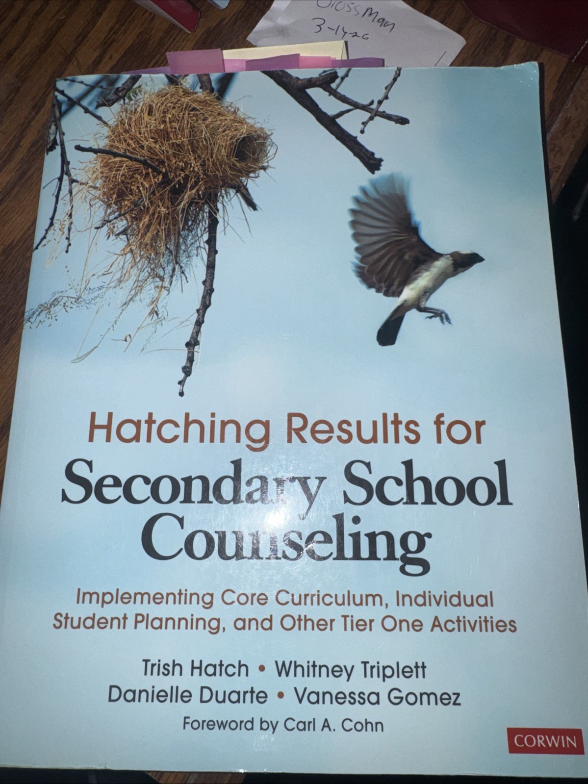 Hatching Results for Secondary School Counseling: Implementing Core Curri – GOOD