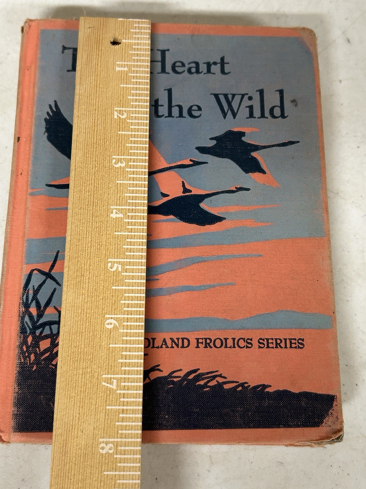 The Heart of the Wild Woodland Frolics Series 1955 School Reading Textbook Texas