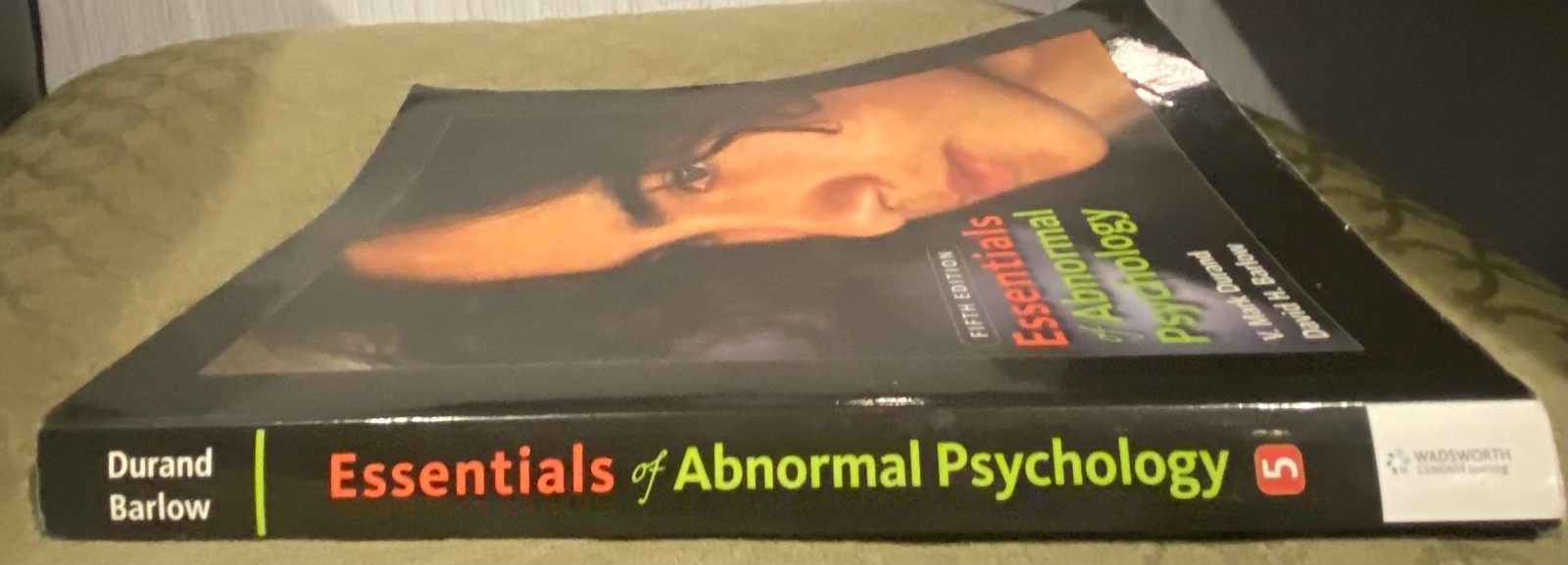 Essentials of Abnormal Psychology by V. Mark Durand and David H. Barlow…